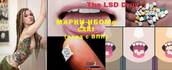 спиды Алзамай