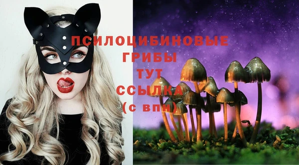 амф Алексин