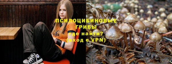 амф Алексин