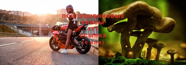 спиды Алзамай