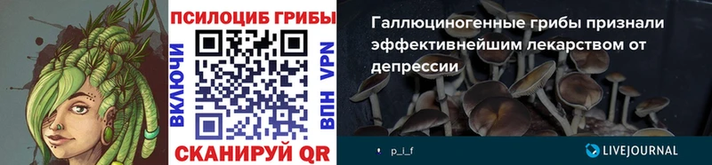 Галлюциногенные грибы мицелий  МЕГА   Нарткала  цены наркотик 
